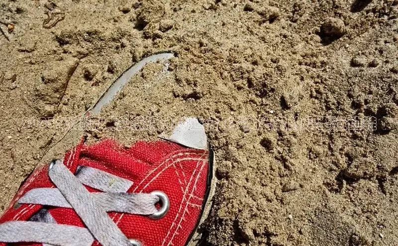 2025年潮流：全新设计的适合1岁女宝宝的小型运动鞋