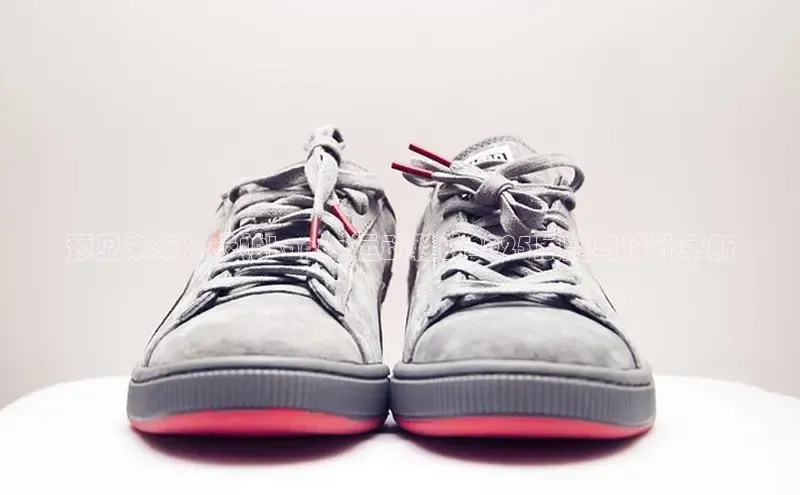 XCSport网页版入口