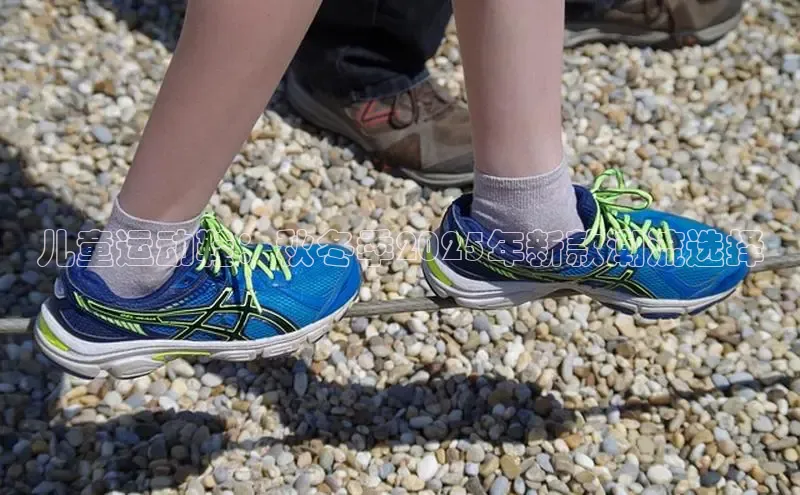 XCSport网页版入口