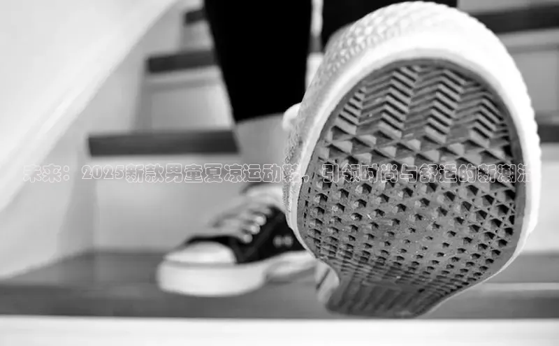 XCSport网页版入口